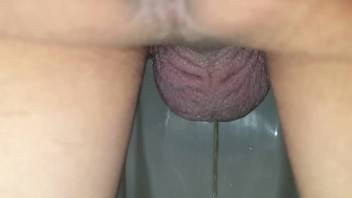 Post-sex public urinal piss, viewed between legs